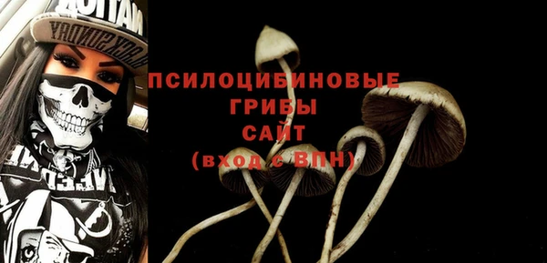 бутират Бугульма