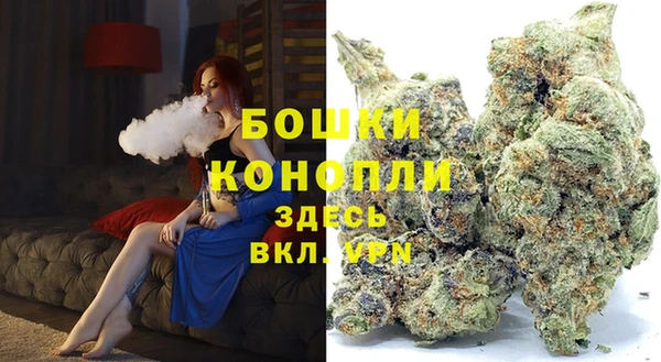 амф Бронницы