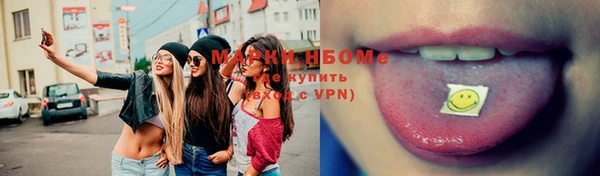 не бодяженный Бородино