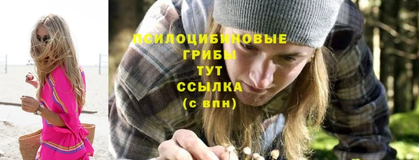 амф Бронницы